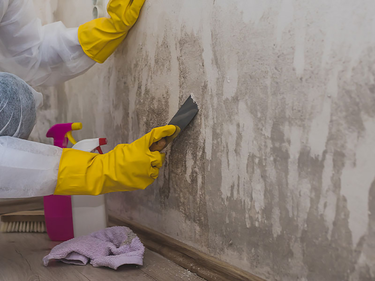 Fort Lauderdale Mold Testing Services: The Hiring Guide for Homeowners